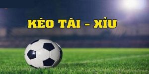 Các loại cược kèo tài xỉu phổ biến và cách đọc đơn giản